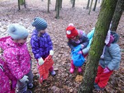 Výprava do lesa, krmení zvířátek